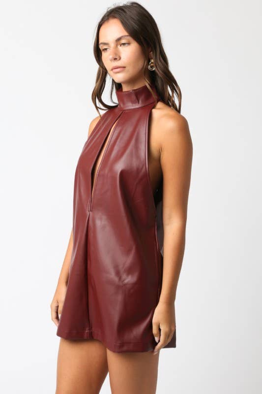 Kenley Mini Dress: Burgundy