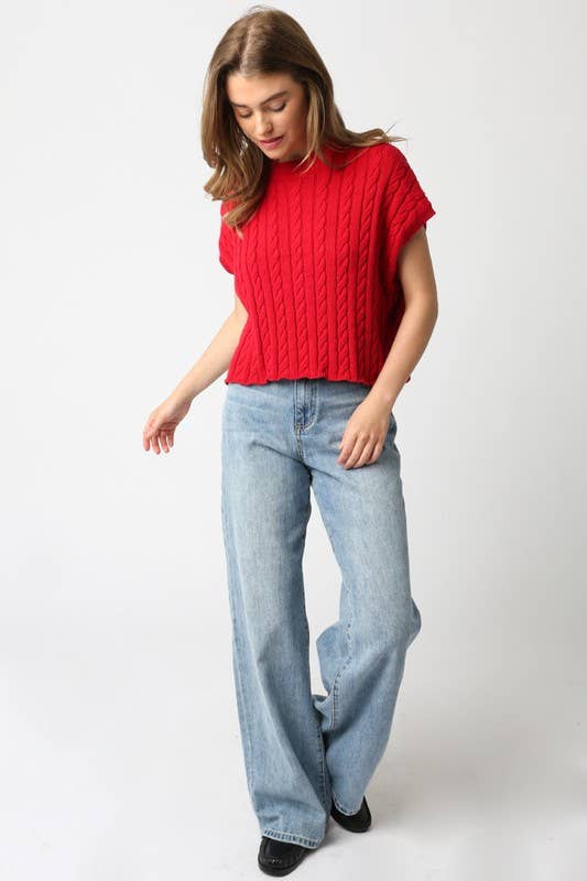 Alina Sweater Vest Top: Burgundy / Contemporary / L